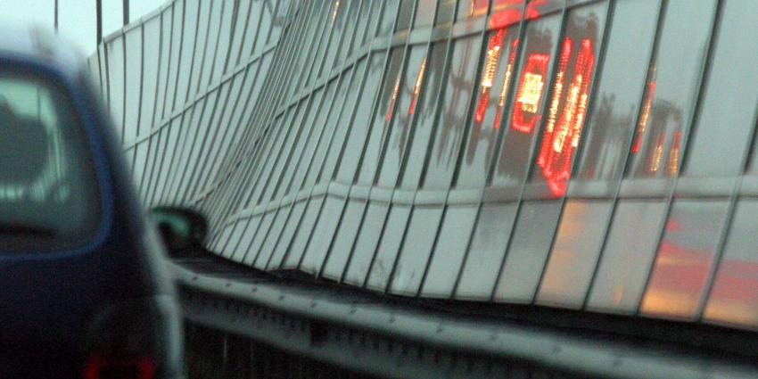 Behaarde planten langs weg moeten fijnstof gaan opvangen