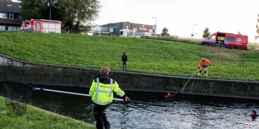 Brandweer redt eendjes uit gemaal