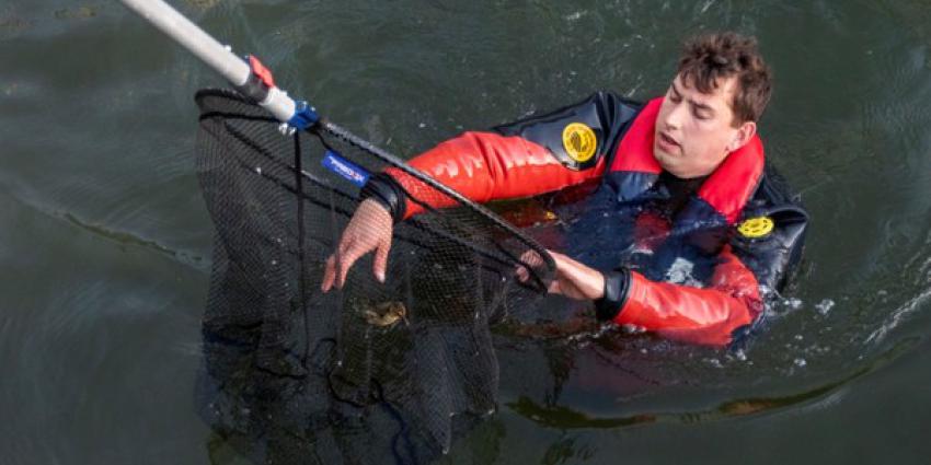 Brandweer redt eendjes uit gemaal