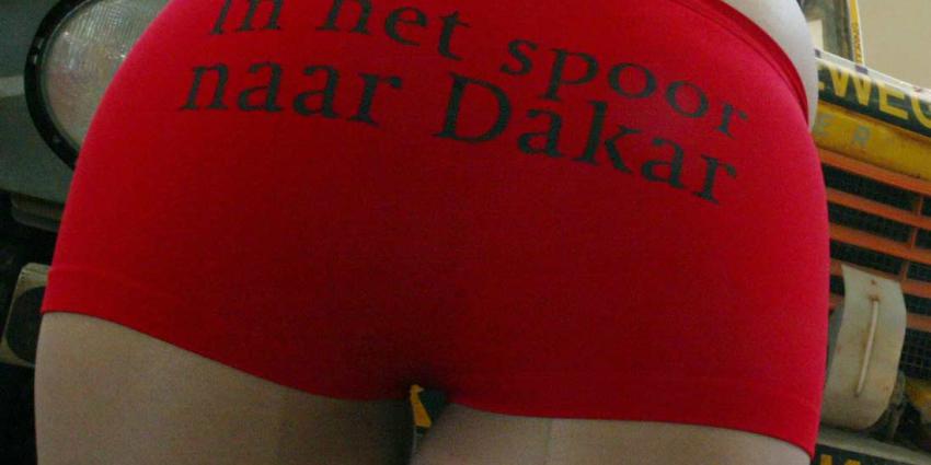 Geen pitspoezen meer bij F1 autoraces