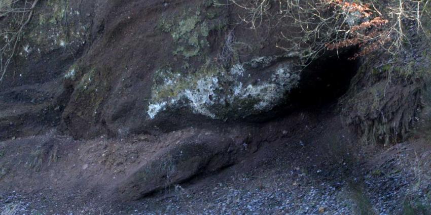 Politie stuit na tip op hennepkwekerij in Valkensburgse grotten