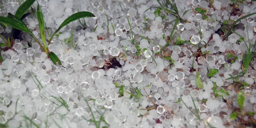 Weerschade Nederlandse groentenverwerkende industrie enorm