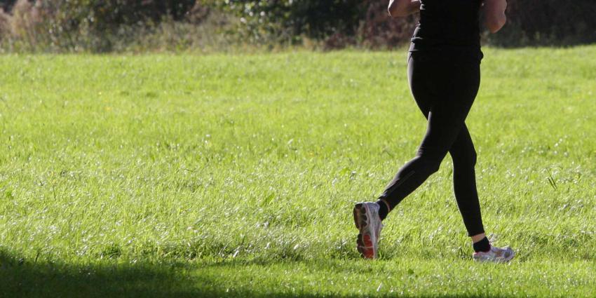 hardloopster-gras-bos