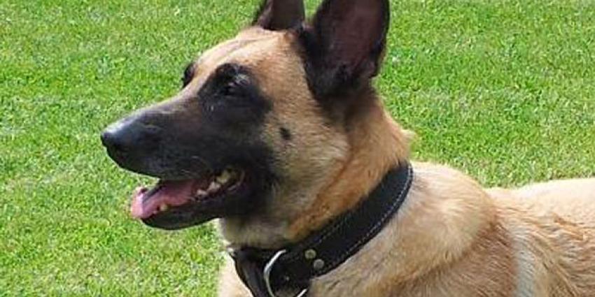 Twee kluiskrakende Roemenen aangehouden na zoekactie