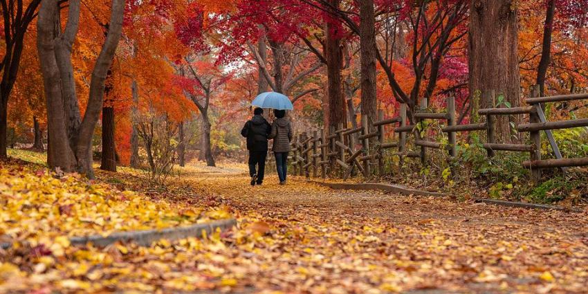 Wandeling in de herfst