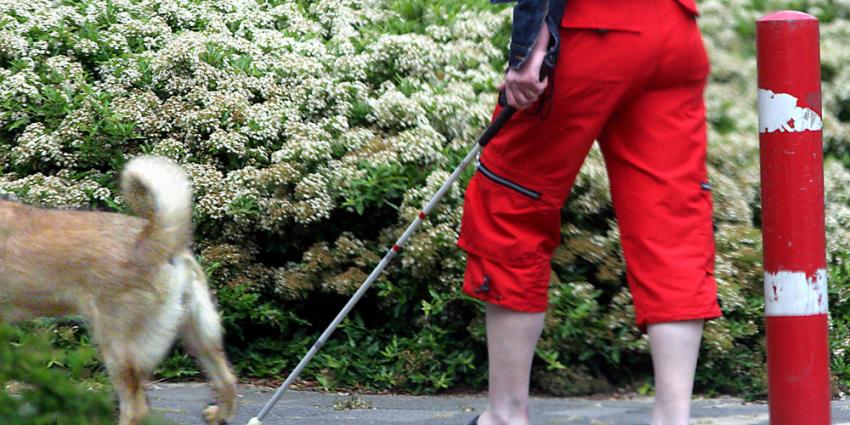 Blindengeleidenhond gebeten, politie zoekt vrouw