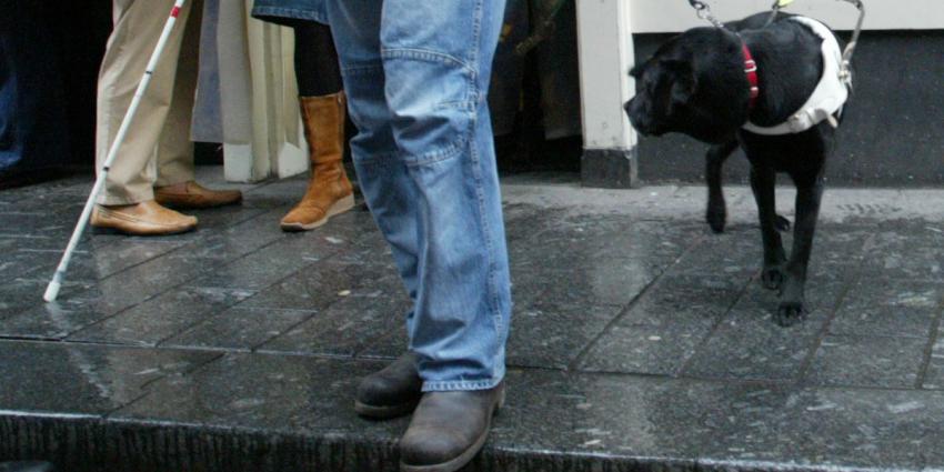 Assistentiehonden nog steeds de dupe van vuurwerk