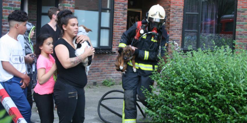 Bewoner en dieren uit woning gered bij brand
