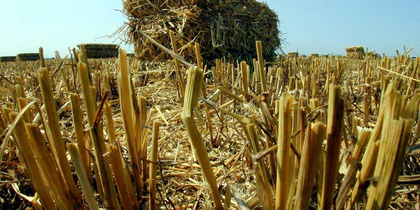 Minister Schouten wil kringlooplandbouw in 2030