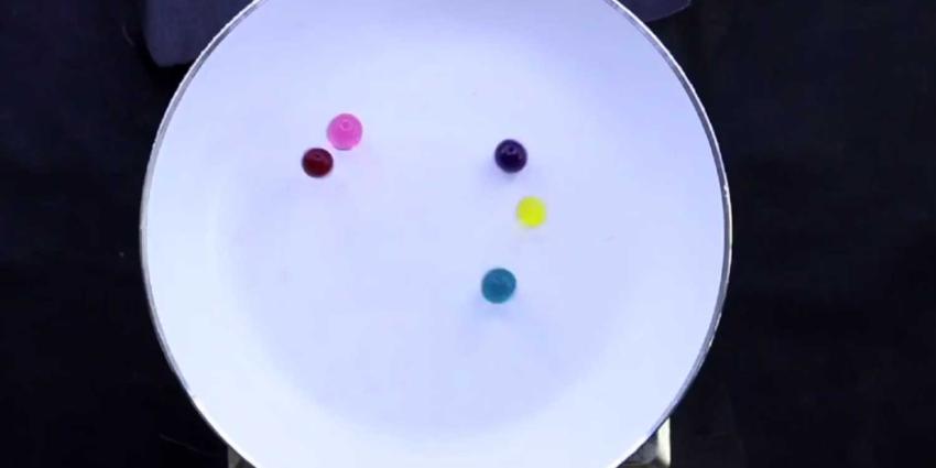 Springende en piepende hydrogelballetjes op een hete plaat verklaard