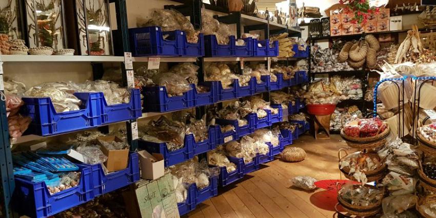 Recordvangst politie en douane in onderzoek naar wildlife crime