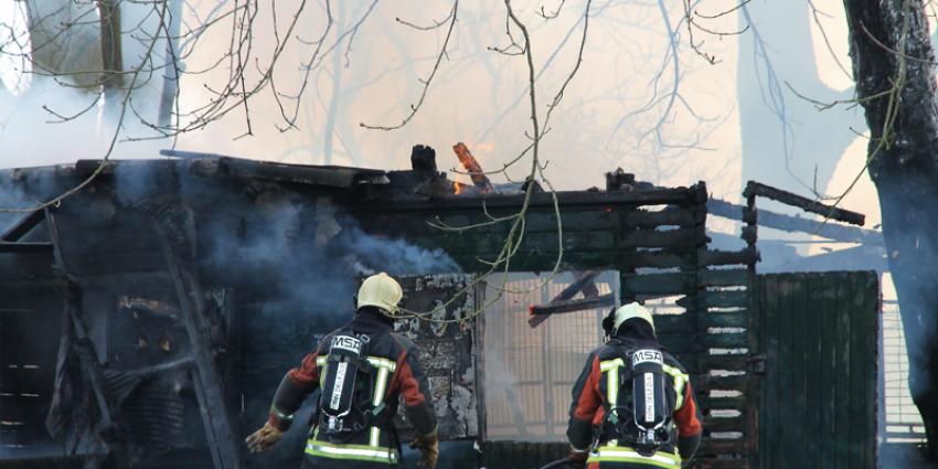 Brand legt schuurtje in de as in Delfzijl