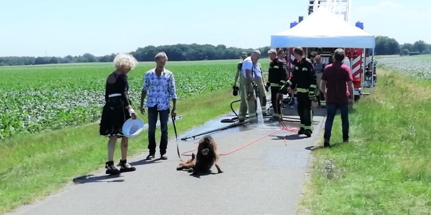 Hond uit afwateringsbuis gered