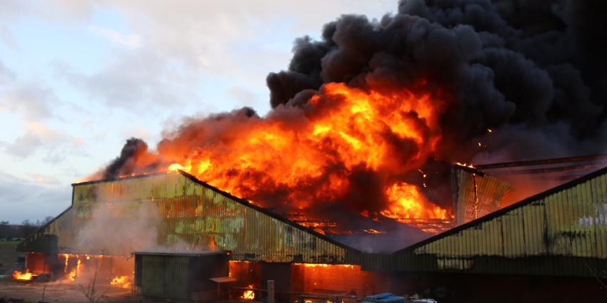 Grote brand in varkenstal Oirschot