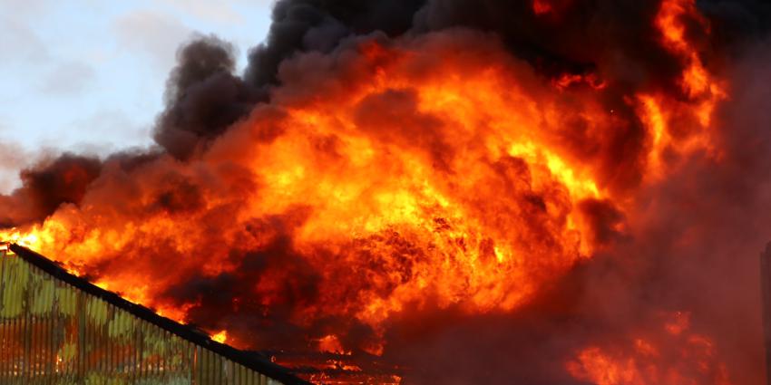 Grote brand in varkenstal Oirschot