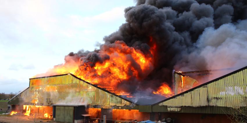 Grote brand in varkenstal Oirschot