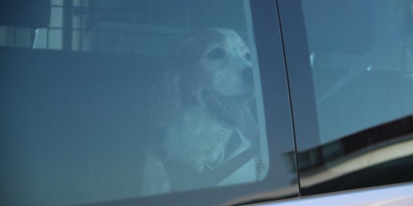 Auto in Schiedam te water 