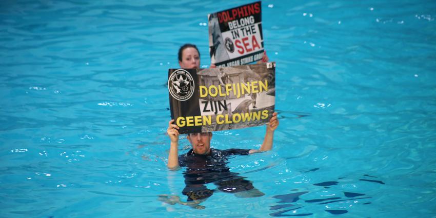 Vegan Strike Group voert actie in Dolfinarium Harderwijk