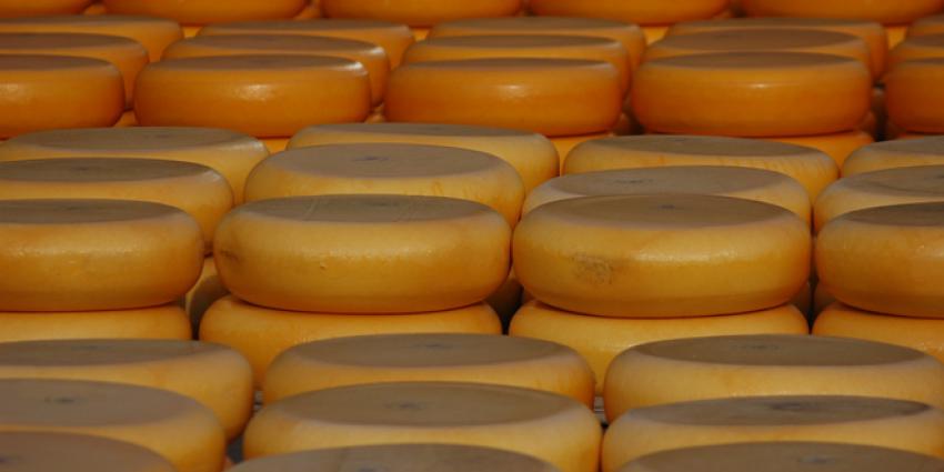 'Toenemend aantal diefstallen bij kaasboeren'