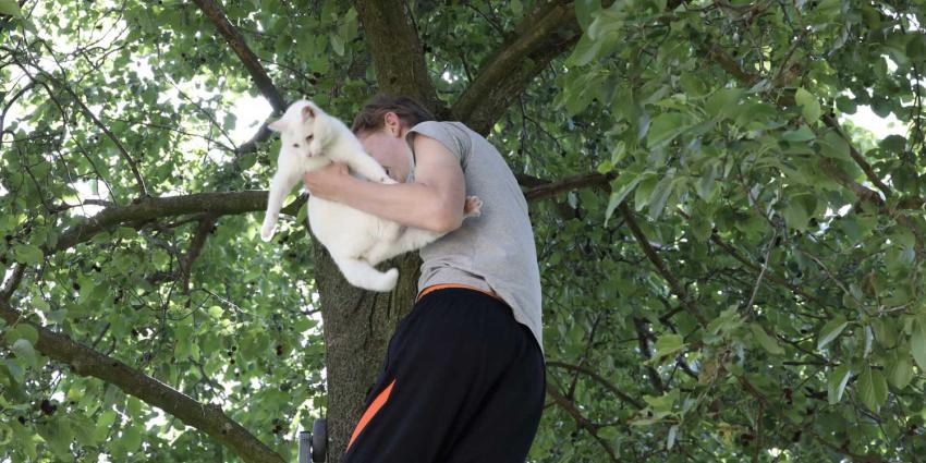 kat-boom-ladder-brandweer