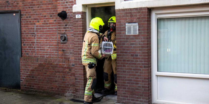 Brandweer redt kat uit brandende woning