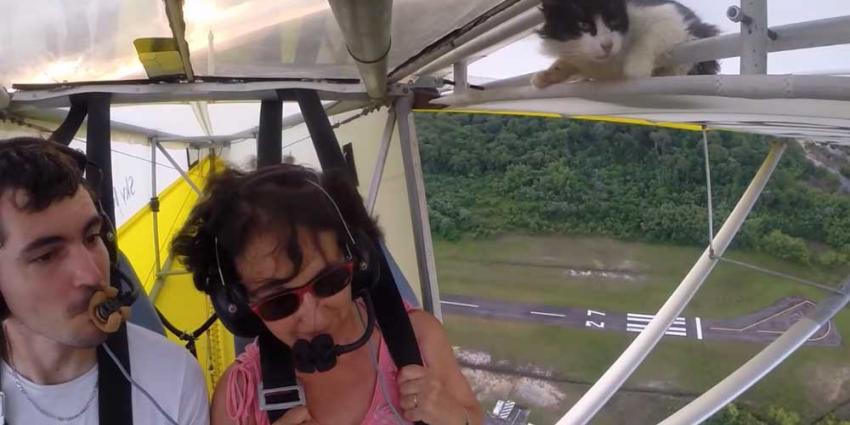 Geen kroegpraat, kat kruipt uit vleugel ultralight vliegtuigje na opstijgen