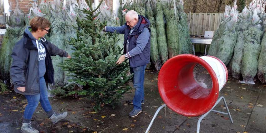 Meer mensen hebben al kerstboom in huis