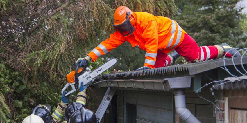 Boom valt door storm op schuurtjes en schuttingen
