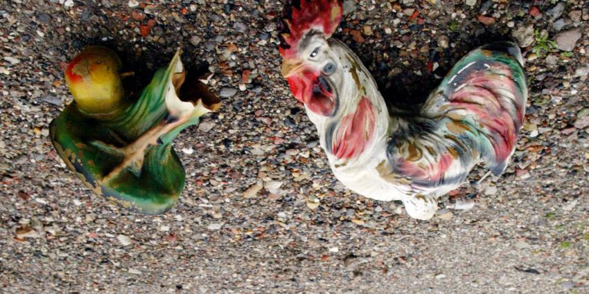 NVWA: Hygiënisch werken blijft aandachtspunt voor pluimveeslachthuizen