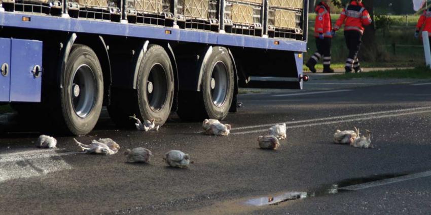 Vrachtwagen met kippen raakt in brand in Nieuw Schoonebeek