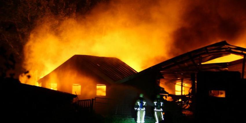 Duizenden kippen omgekomen bij grote brand Orvelte 