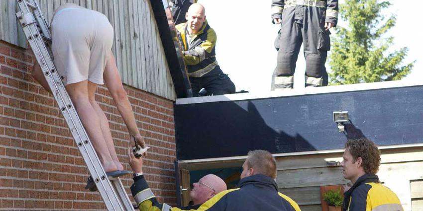 Foto van bevrijden kittens uit spouwmuur | Parkstadveendam.nl | www.parkstadveendam.nl