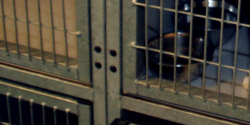 Rechter tikt NVWA op vingers: neem undercoverbeelden mee in handhaving