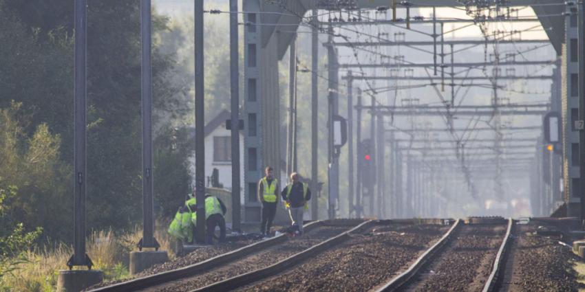 Koperdieven leggen treinverkeer plat op traject Schiedam-centrum