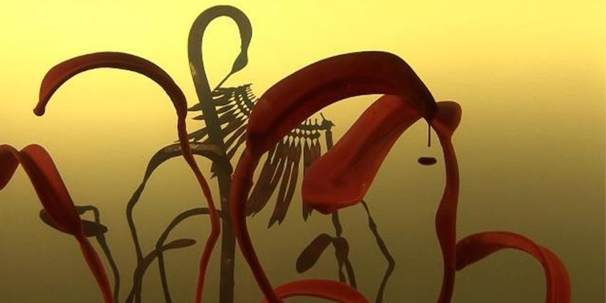 Foto van werk van Saskia Olde Wolbers | Stedelijk Museum