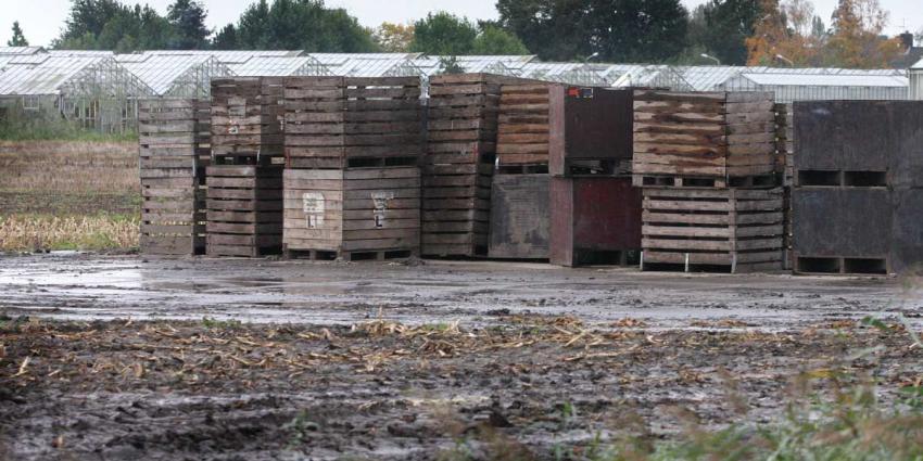 Schade door noodweer veel hoger dan eerst gedacht. ZLTO luidt noodklok.