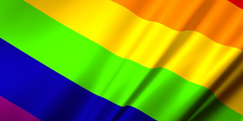 LGBT vlag