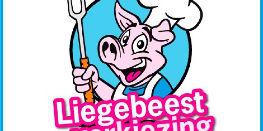 Supermarkt Plus is grootste Liegebeest van 2014