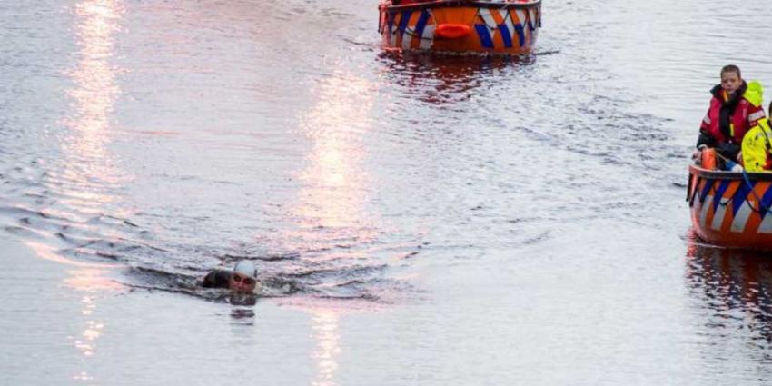 Maarten van der Weijden 11stedenzwemtocht It Giet Oan!