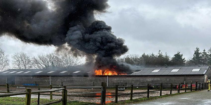 manege-brand