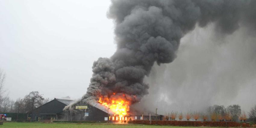 Brand in 't Dommeltje