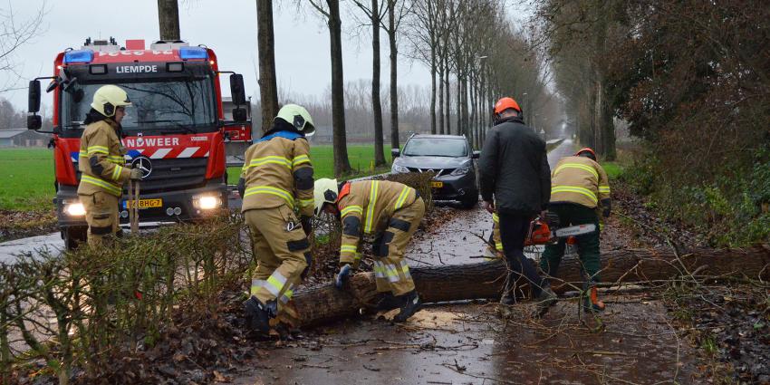 Brandweer maakt omgevallen boom klein