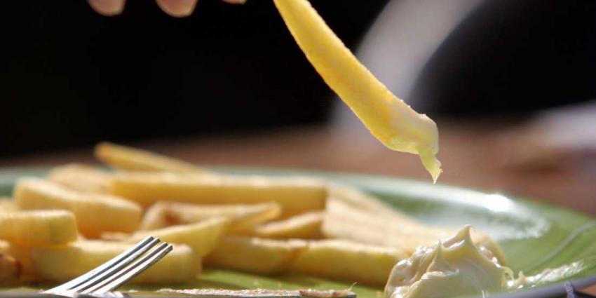 mayonaise-friet-patat-vet