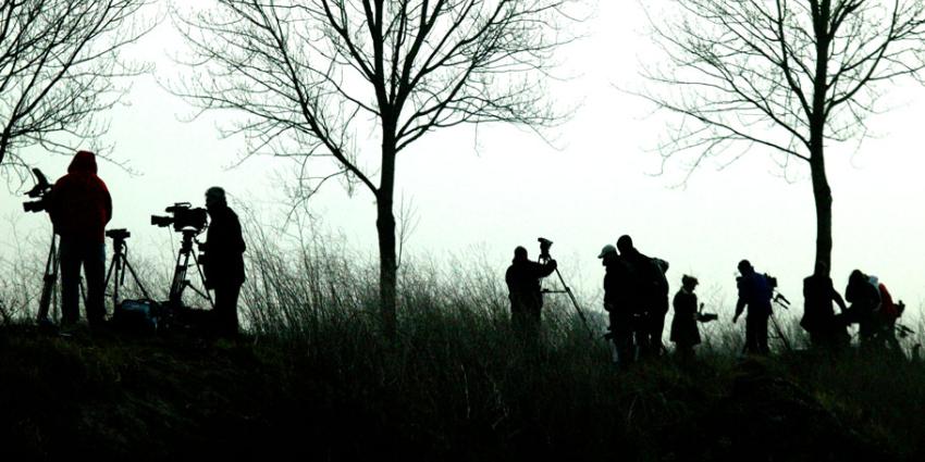 Nederlandse media met uitsterven bedreigd