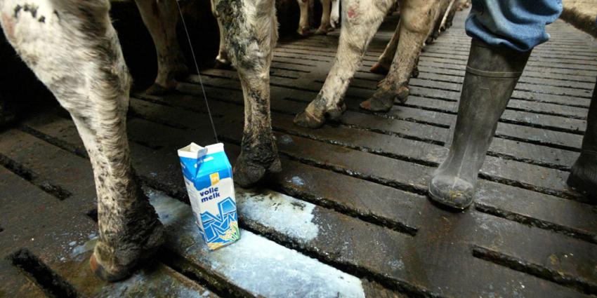 Boze melkveehouders komen antwoord Staatssecretaris anders halen