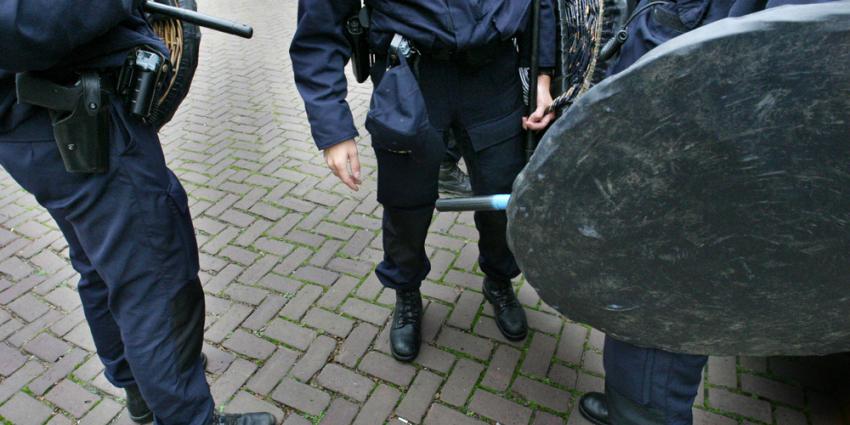 Mobiele eenheid kamt bos uit in Huis ter Heide