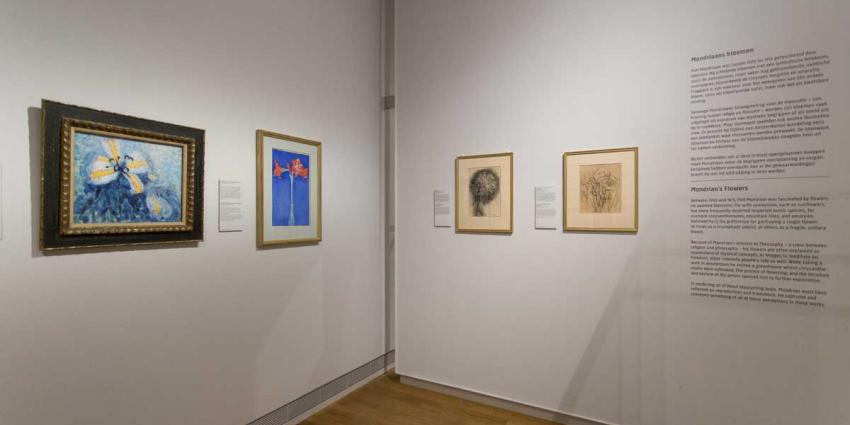'Vroege' bloemen Mondriaan te zien in Rijksmuseum