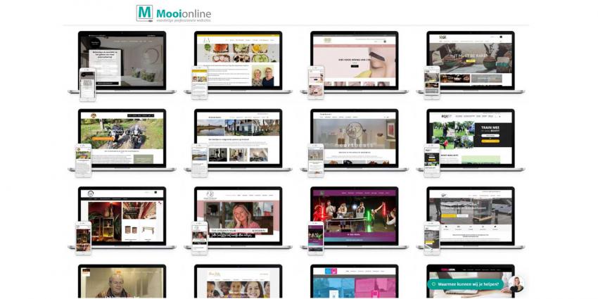 mooionline-webshops-websites