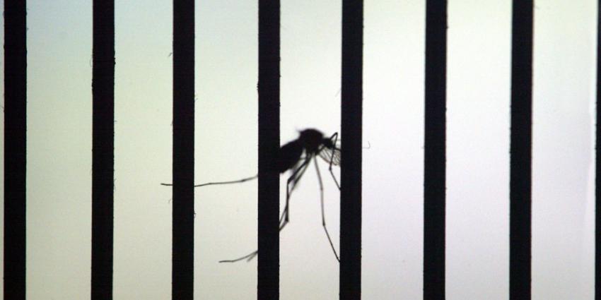 Noodstoestand afgekondigd om Zika virus