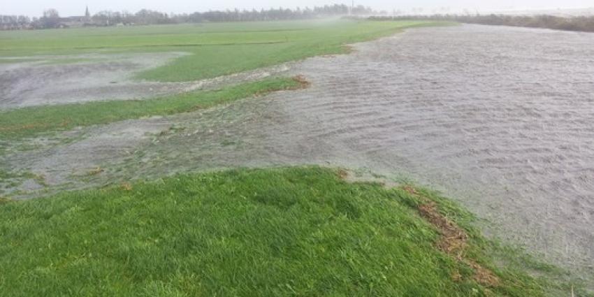 Na het weekend kans op storm en tien graden kouder